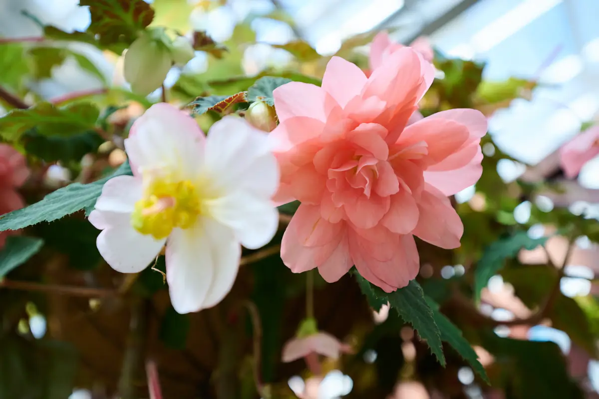 Test Nikon Z 14-30mm f/4 S : Ultra Grand-Angle Compact_01